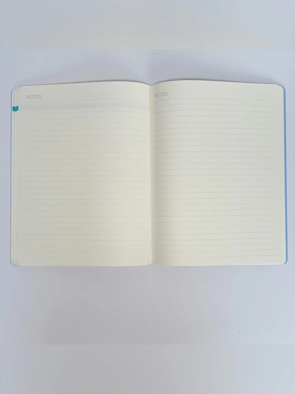 2026-2027 Clementine Paper inc. 17-month Large Size Planner (Blue Stripes)